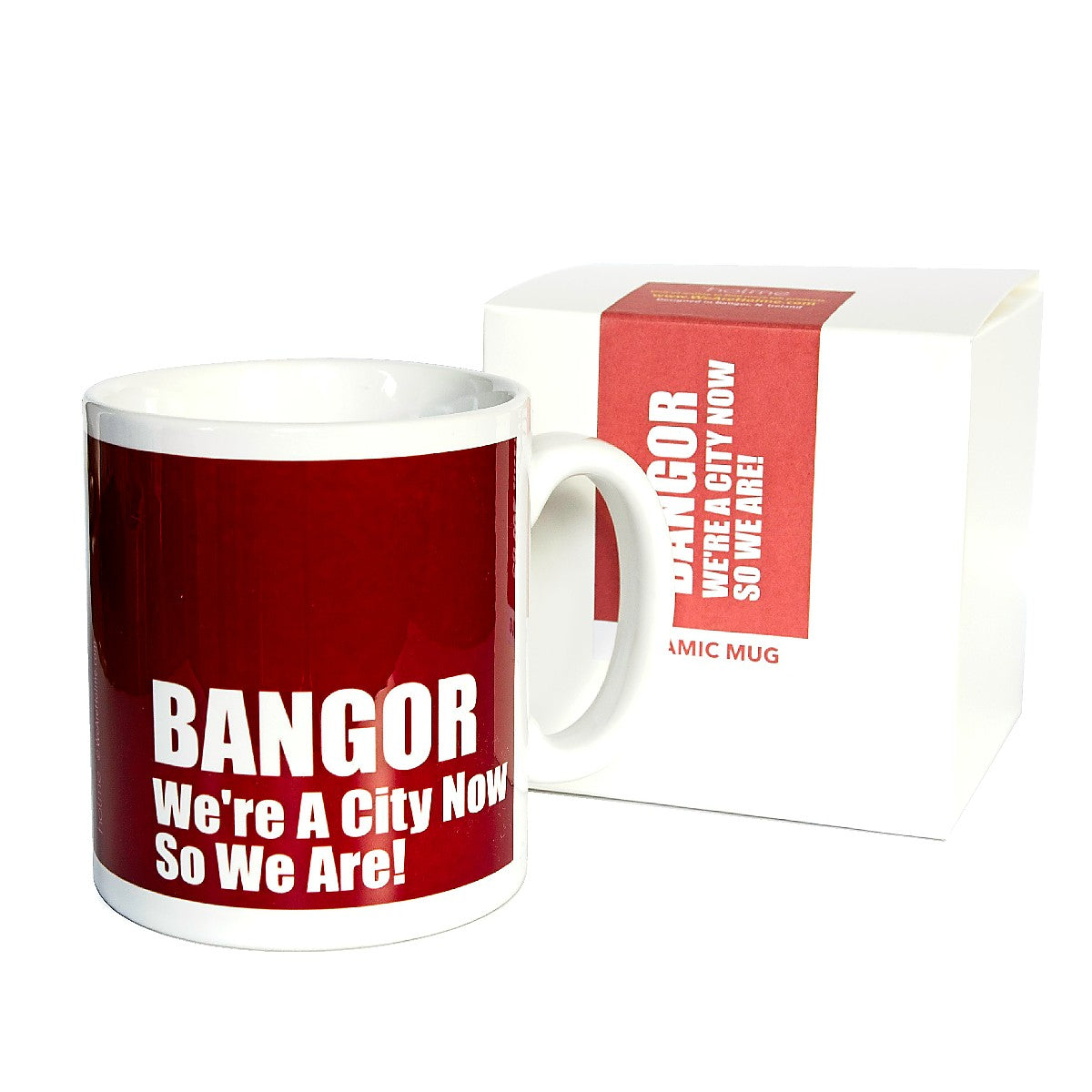 Northern Ireland Slang Mug - Bangor We're A City Now