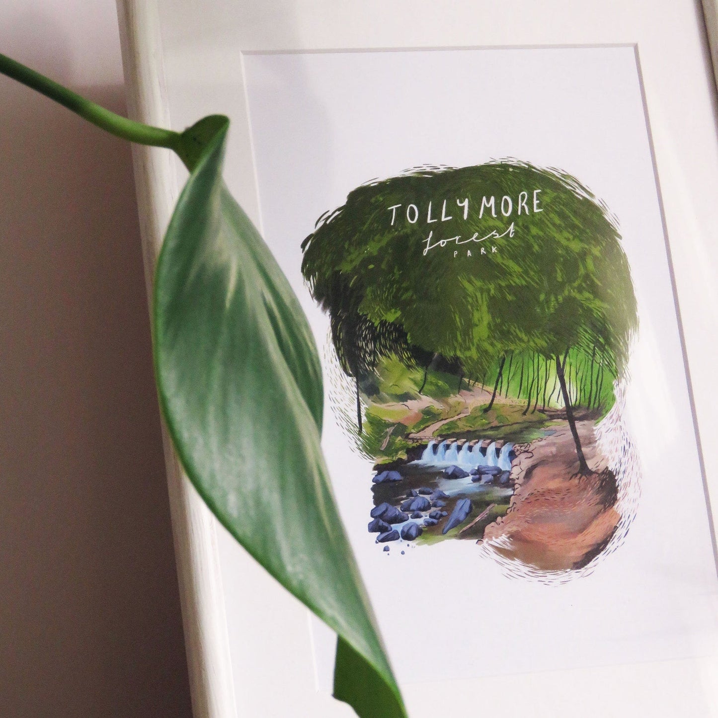 Rhea Hanlon - A4 Mounted Print - Tollymore Park